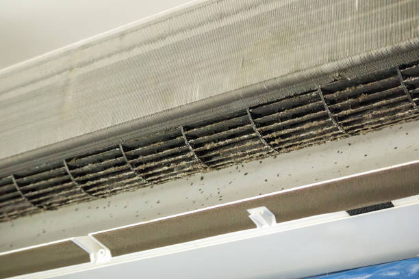 Best Commercial Air Duct Cleaning  in North Shore, VA